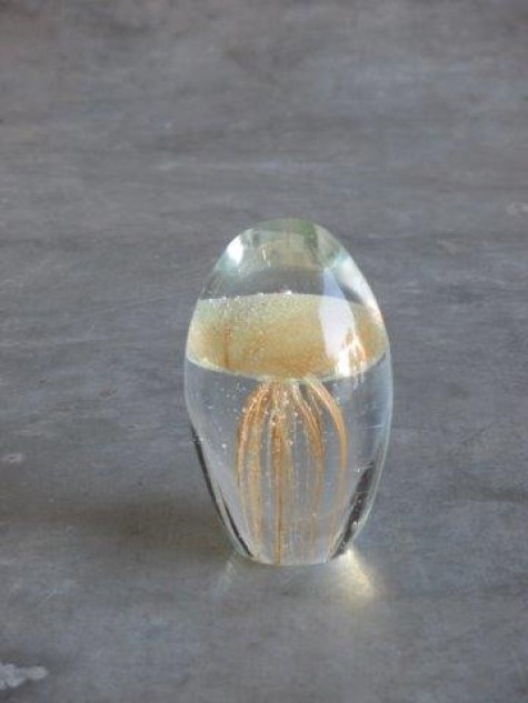 Jellyfish, amber S